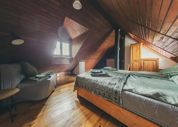 Stara Kuznia- W Puszczy Noteckiej Zatom Nowy