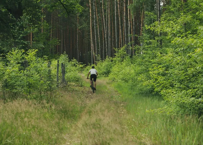 Stara Kuznia- W Puszczy Noteckiej Villa Zatom Nowy